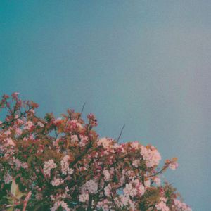 免费无码午夜福利在线200
